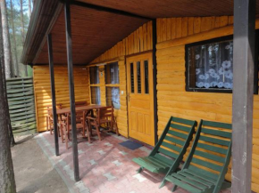 Ośrodek Wypoczynkowy Jaszczurka in Ocypel